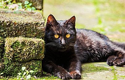 D加密高管：我们的技术不会影响游戏性能